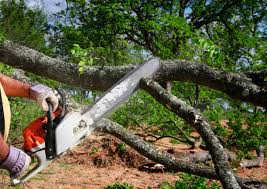 Weatherford, OK Tree Removal Company